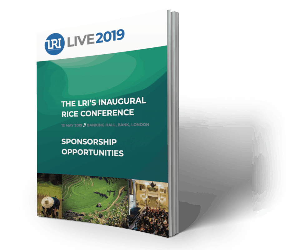 LRI Brochure Design