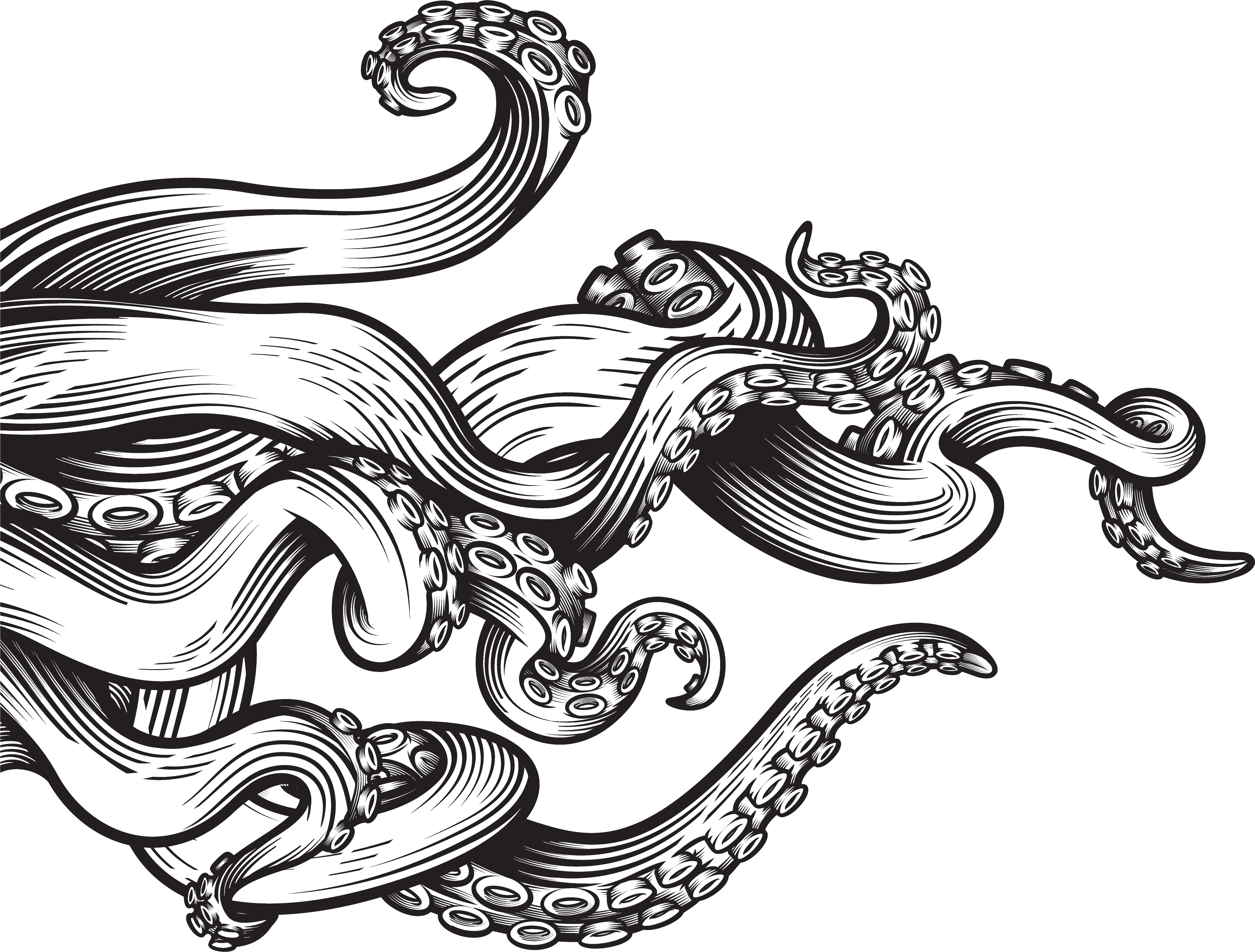 octo redder