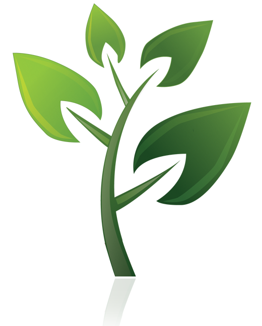 branches. logo